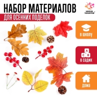 Набор для творчества &laquo;Материалы для осенних поделок. Листья, шишки&raquo;