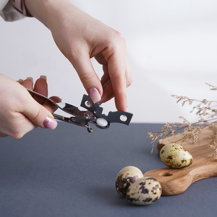 Нож консервный Доляна &laquo;Эконом&raquo;, 17 см, цвет серебряный