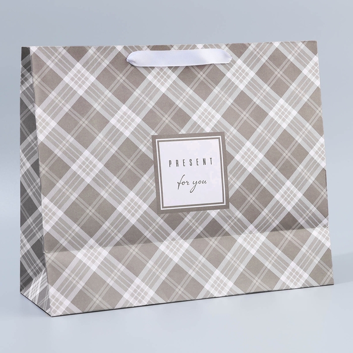 Пакет подарочный крафтовый с пластиковым окном, упаковка, &laquo;Мужской&raquo;, 31 х 26 х 10 см