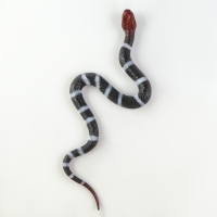 Резиновая змея &laquo;Уж&raquo;