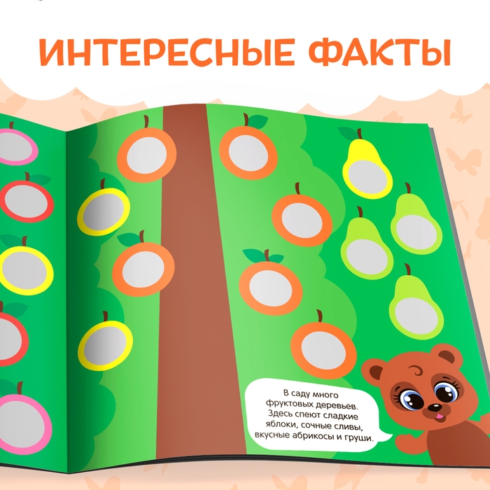 Книга с наклейками &laquo;Умные кружочки. Что, где растёт?&raquo;, 12 стр.