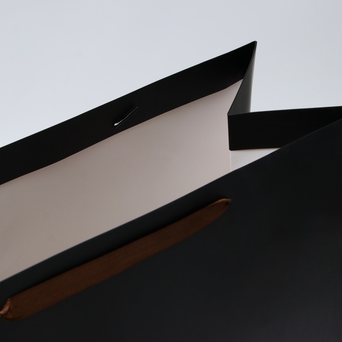 Пакет ламинированный вертикальный "Черный", XL 40 &times; 49 &times; 19 см