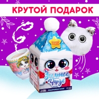 Подарочный набор &laquo;Зимнее чудо&raquo;