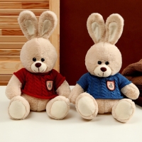 Мягкая игрушка &laquo;Заяц&raquo;, в свитере, 25 см, цвет МИКС