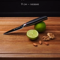 Набор кухонных ножей из 3 предметов PRO collection 3SS