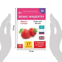 Книга по методике Г. Домана &laquo;Фрукты и ягоды&raquo;, на казахском языке