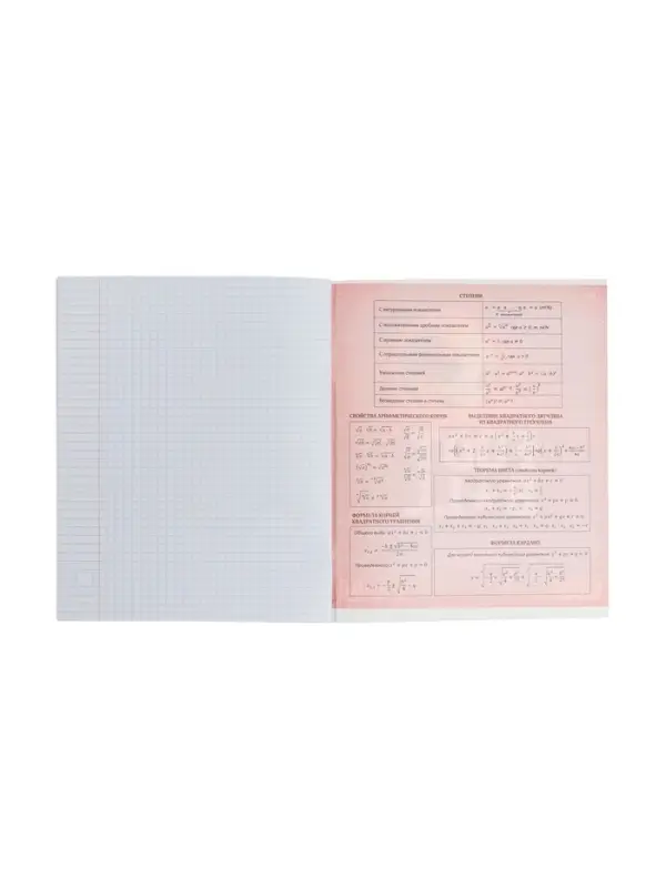 Тетрадь предметная 48 листов в клетку Calligrata, &laquo;Футбол. Алгебра&raquo;, обложка мелованный картон