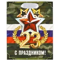 Пакет подарочный ламинированный &laquo;23 февраля&raquo;, S 12 х 15 х 5.5 см