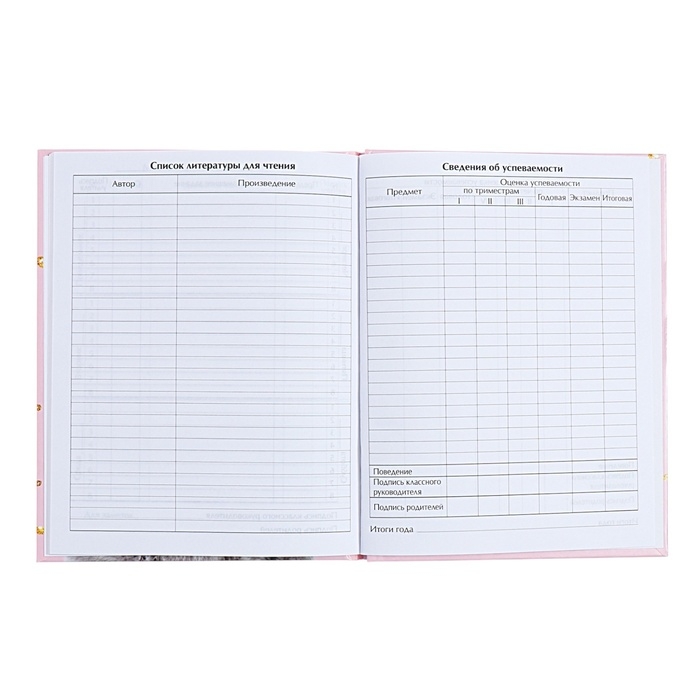 Дневник универсальный для 1-11 классов, "Киса", твердая обложка 7БЦ, глянцевая ламинация, 40 листов