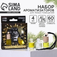 Ароматизаторы в машину новогодние &laquo;Хозяину жизни&raquo; на Новый год, цитрус, тропики, парфюм (набор 3 шт)
