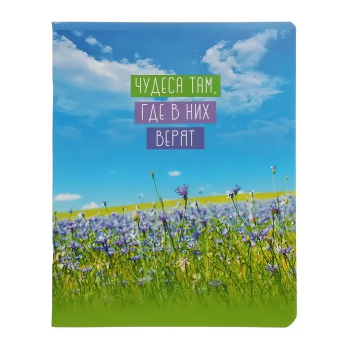 Тетрадь 48 листов в линию &laquo;Девочки&raquo;, обложка мелованный картон, блок офсет, МИКС