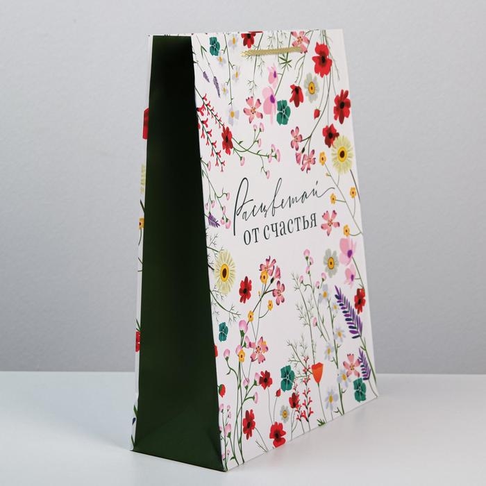 Пакет подарочный ламинированный, упаковка, &laquo;Расцветай от счастья&raquo;, L 28 х 38 х 9 см