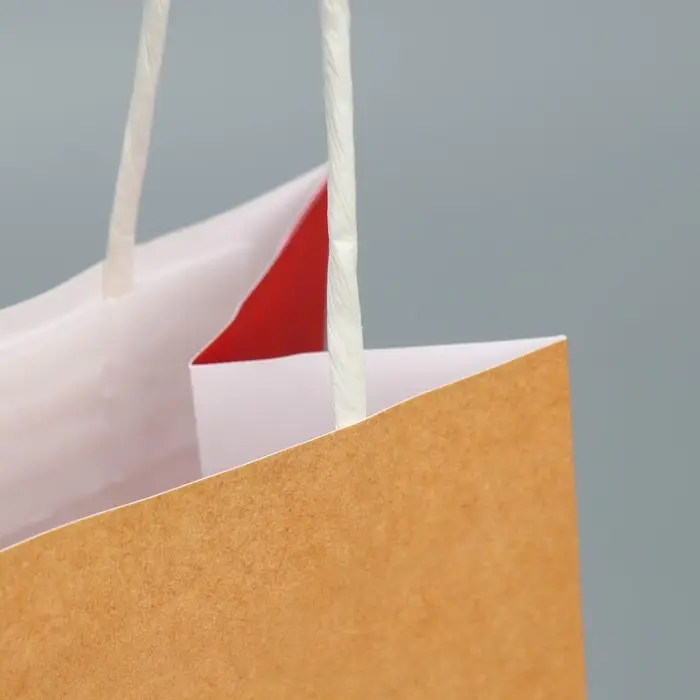 Пакет подарочный крафтовый, упаковка, &laquo;Душнила&raquo;, 12 х 21 х 9 см