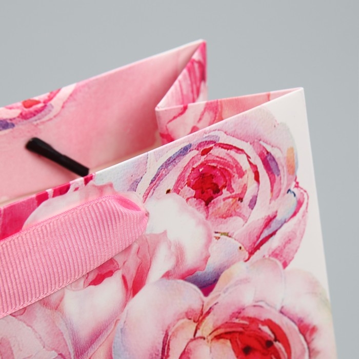 Пакет подарочный ламинированный горизонтальный, упаковка, &laquo;Счастье ждёт тебя&raquo; 22 х 17,5 х 8 см