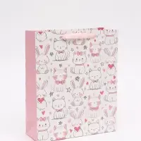 Пакет подарочный &laquo;Поздравляю&raquo;, M 25,5 &times; 30 &times; 9 см