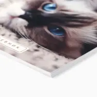 Дневник школьный 1-11 класс, в мягкой обложке, 40 л &laquo;Кошка&raquo;