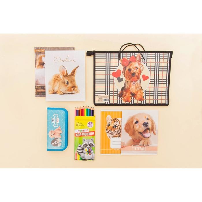 Карандаши цветные заточенные, 12 цветов, в картонной коробке