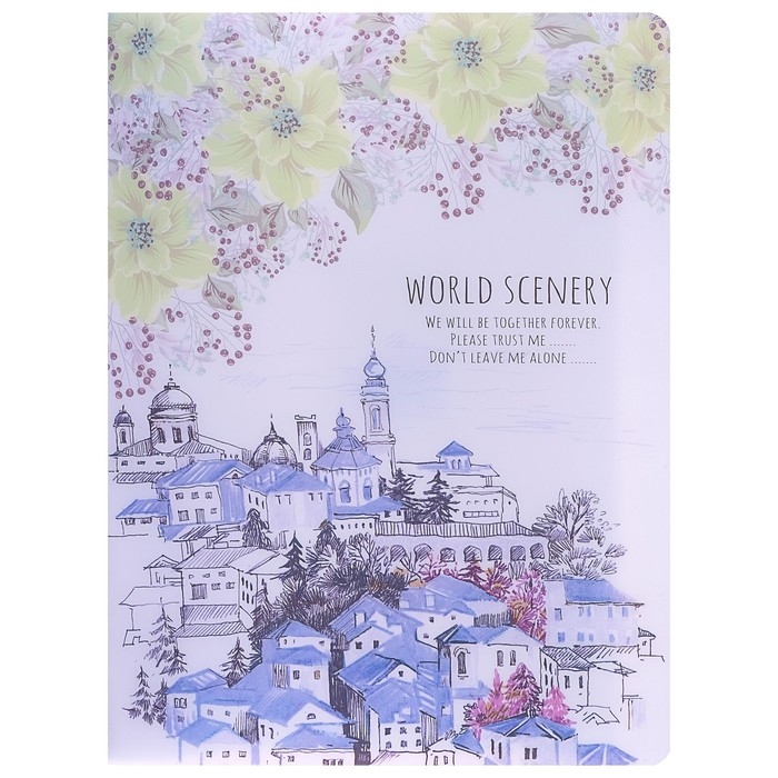 Папка А4, &laquo;Города&raquo; 30 прозрачных файлов, пластик, 400 мкм, МИКС