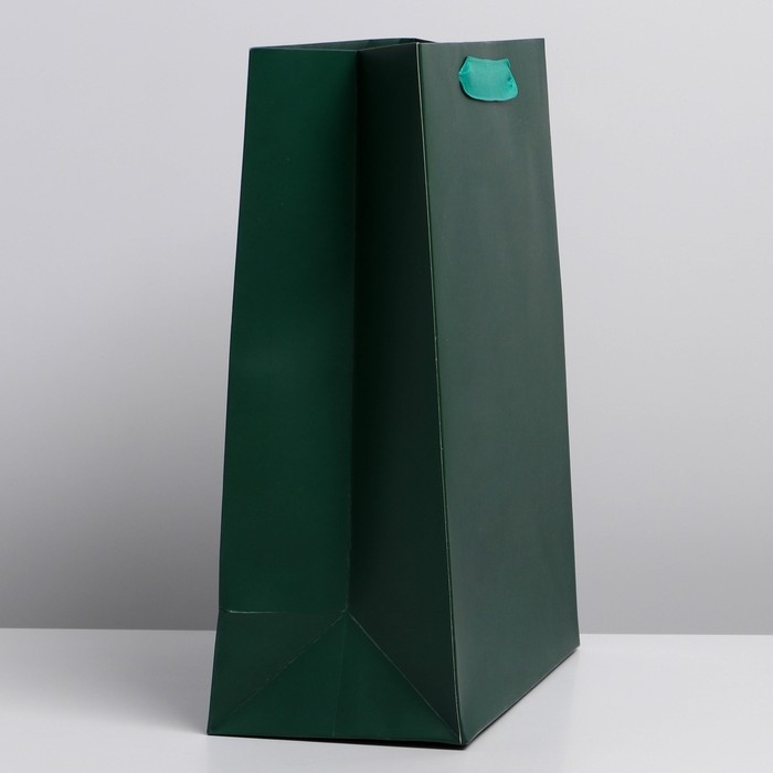 Пакет подарочный ламинированный, упаковка, &laquo;Изумрудный&raquo;, L 31 х 40 х 11.5 см