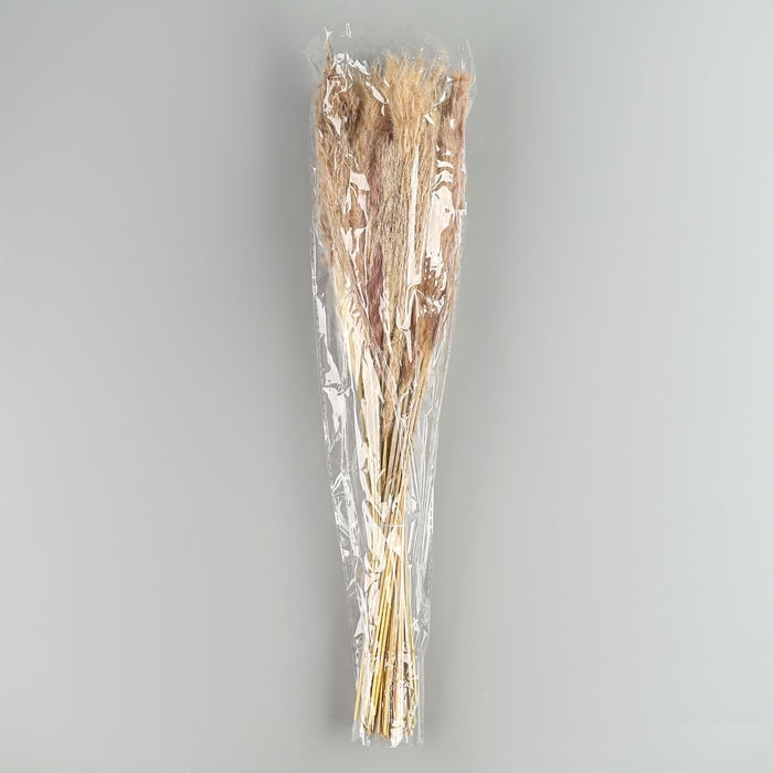 Букет из сухоцветов &laquo;Изумление&raquo;, высота 47 см