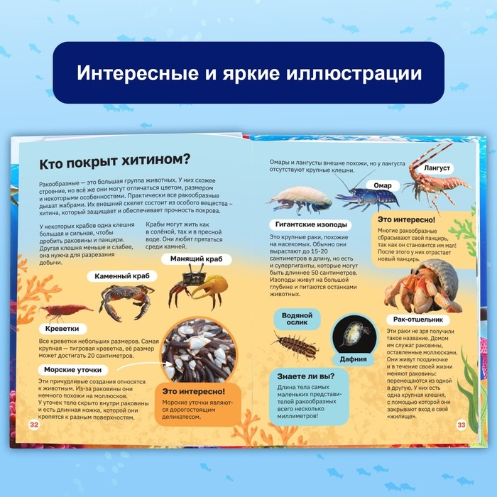 Энциклопедия в твёрдом переплёте &laquo;Подводный мир&raquo;, 48 стр.