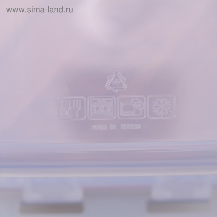 Контейнер пищевой 900 мл с герметичной крышкой , цвет МИКС