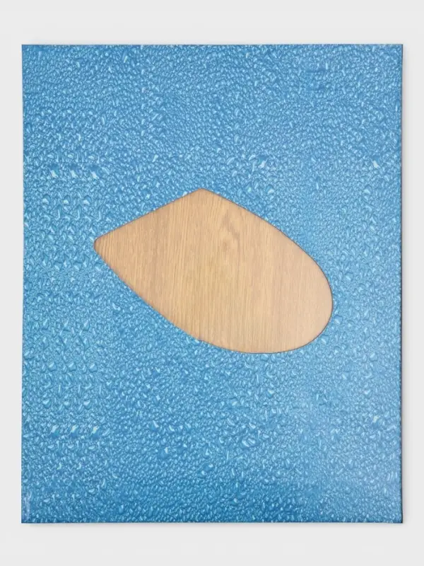 Сиденье для унитаза, 45&times;36&times;5 см, натуральное дерево