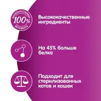 Влажный корм Whiskas Meaty для кошек, кролик, 75 г