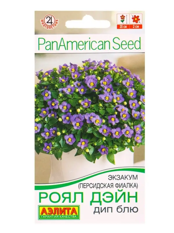 Семена цветов Экзакум (Персидская фиалка) Роял дэйн дип блю  (драже)  PanAmerican, Ц/П,4 шт. 1094596