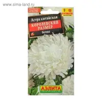 Семена цветов Астра "Королевский размер" белая, О, 0,1 г