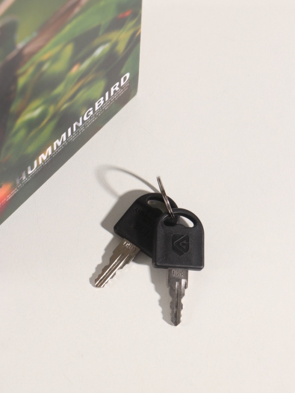 Сейф-книга дерево кожзам "Птицы. Колибри" 21х13х5 см