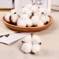 Декор сухоцвет &laquo;Хлопок&raquo;, d=5 см, белый