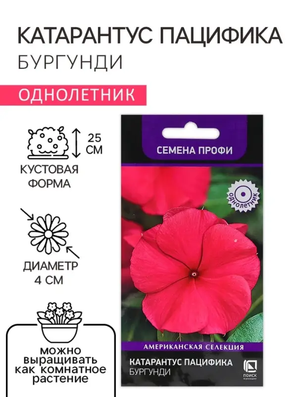 Семена цветов Катарантус Пацифика  "Бургунди" 10 шт