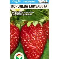 Семена Земляника "Королева Елизавета", 10 шт