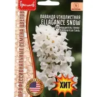 Семена цветов Лаванда Ellagance Snow узколистная  5шт.  12.29 г.