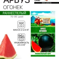 Семена Арбуз "Огонек", 0,5 г