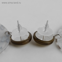 Серьги пластик &laquo;Танзания&raquo; круги гепард, черно-коричневый, d=4