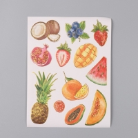 Фотоальбом 25 листов (наклейки+кольца) "Фрукты. Привет, лето!" 19х27х3 см