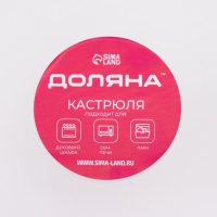 Кастрюля из жаропрочного стекла для запекания Доляна &laquo;Утятница&raquo;, 2,9 л, 24,5&times;20,5&times;13,5 см, с крышкой
