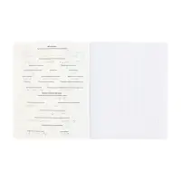 Тетрадь 48 листов в клетку &laquo;Буквица&raquo; ФИЗИКА, обложка мелованный картон, матовая ламинация, тиснение фольгой, с интерактивным справочником, бл...