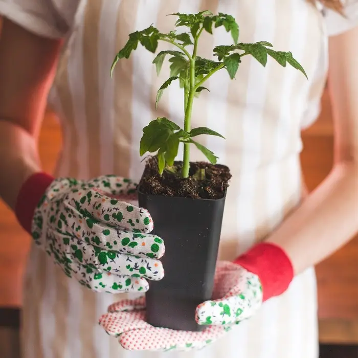 Горшок для рассады, 600 мл, d=8 см, h=15 см, пластик, МИКС, Greengo