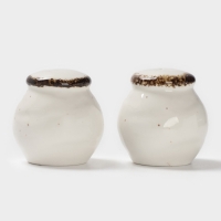 Набор для специй 2 шт Magistro "Alpine Frost" 5х6 см цвет белый, перечница, солонка