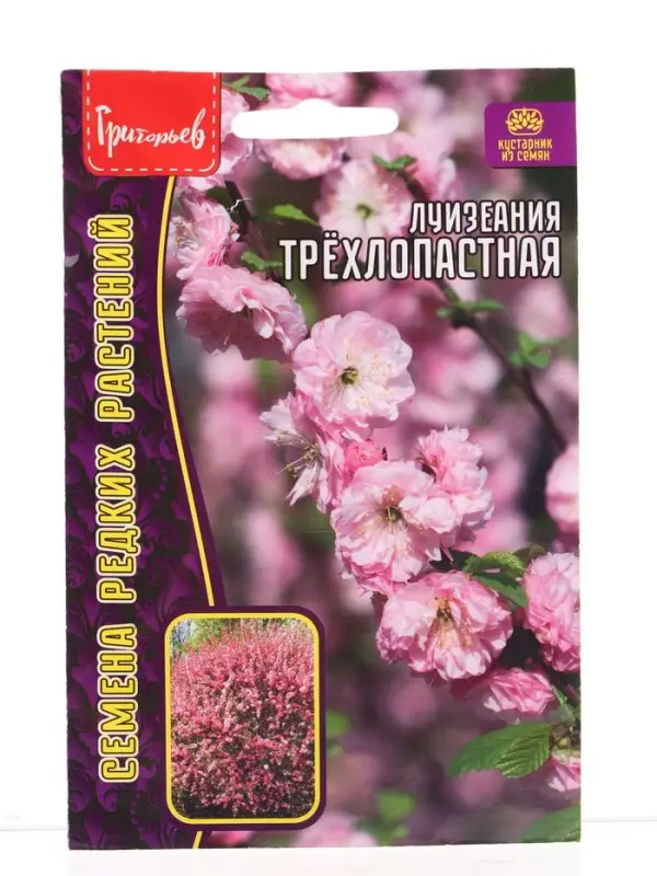 Семена цветов Луизеания Трёхлопастная (Миндаль)  3шт.  12.29 г.