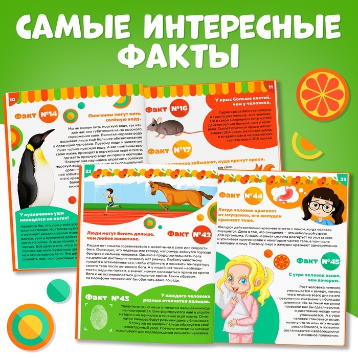 Энциклопедия в твёрдом переплёте &laquo;100 фактов о мире вокруг&raquo;, 48 стр., Чебурашка