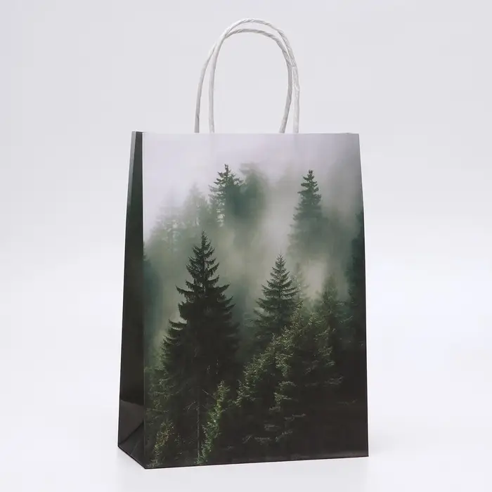 Пакет подарочный крафтовый &laquo;Туманный лес&raquo; 18&times;8&times;25 см, 120 г/м&sup2;