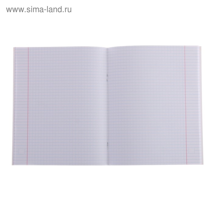 Тетрадь 48 листов в клетку Calligrata "Авокадо", обложка мелованный картон, блок офсет, МИКС