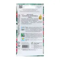 Семена цветов Маргаритка помпон. "Алиса", 260 шт