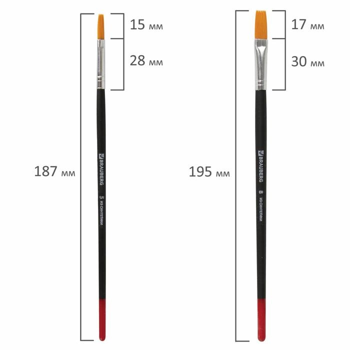 Набор кистей, синтетика, 5 штук, BRAUBERG (круглая, № 1, 2, 5, плоская № 5, 8), блистер