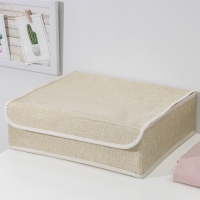 Органайзеры для хранения белья &laquo;Пастель&raquo;, 3 шт, с крышкой, 31,5&times;25&times;10 см, цвет бежевый