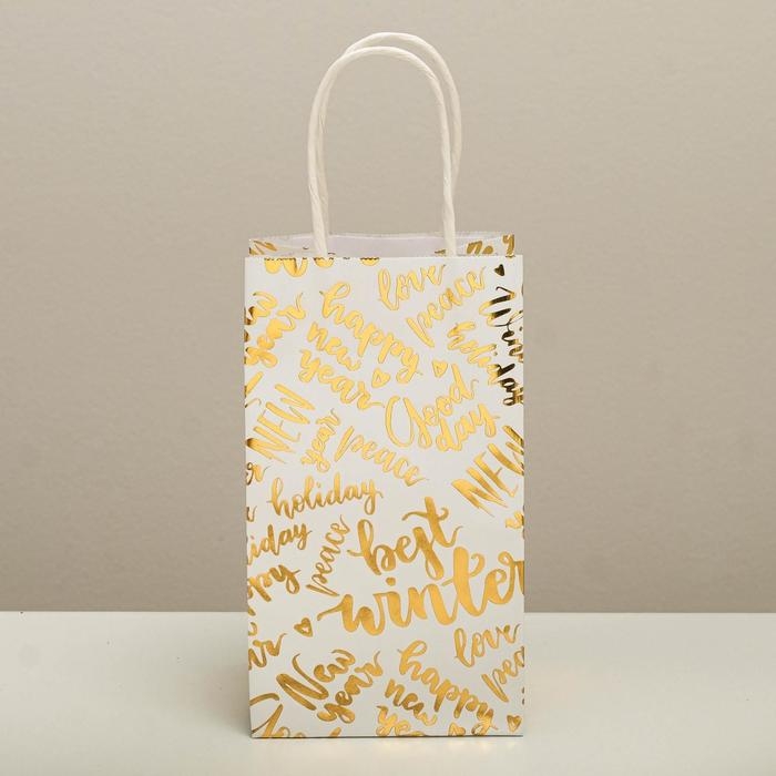 Пакет подарочный новогодний крафтовый &laquo;Best winter&raquo;, 12 х 21 х 9 см, Новый год